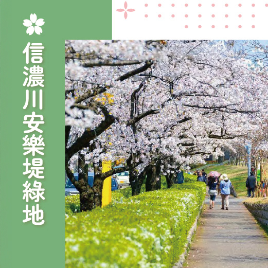 信濃川安樂堤綠地