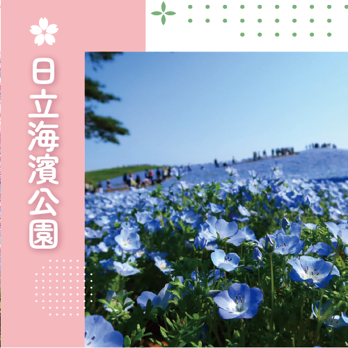 船津公園