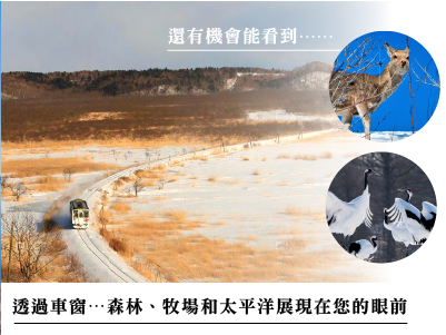 野付半島冬景