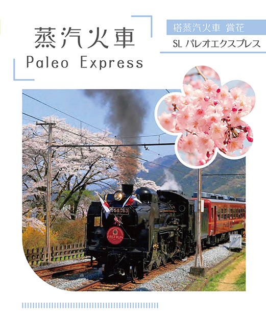 信濃川安樂堤綠地