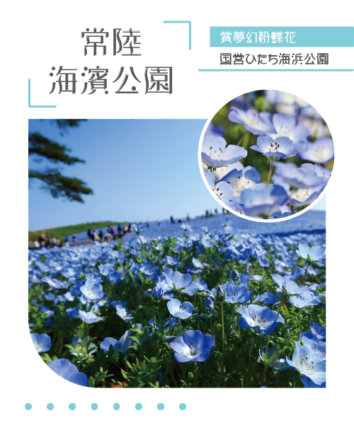 真野公園